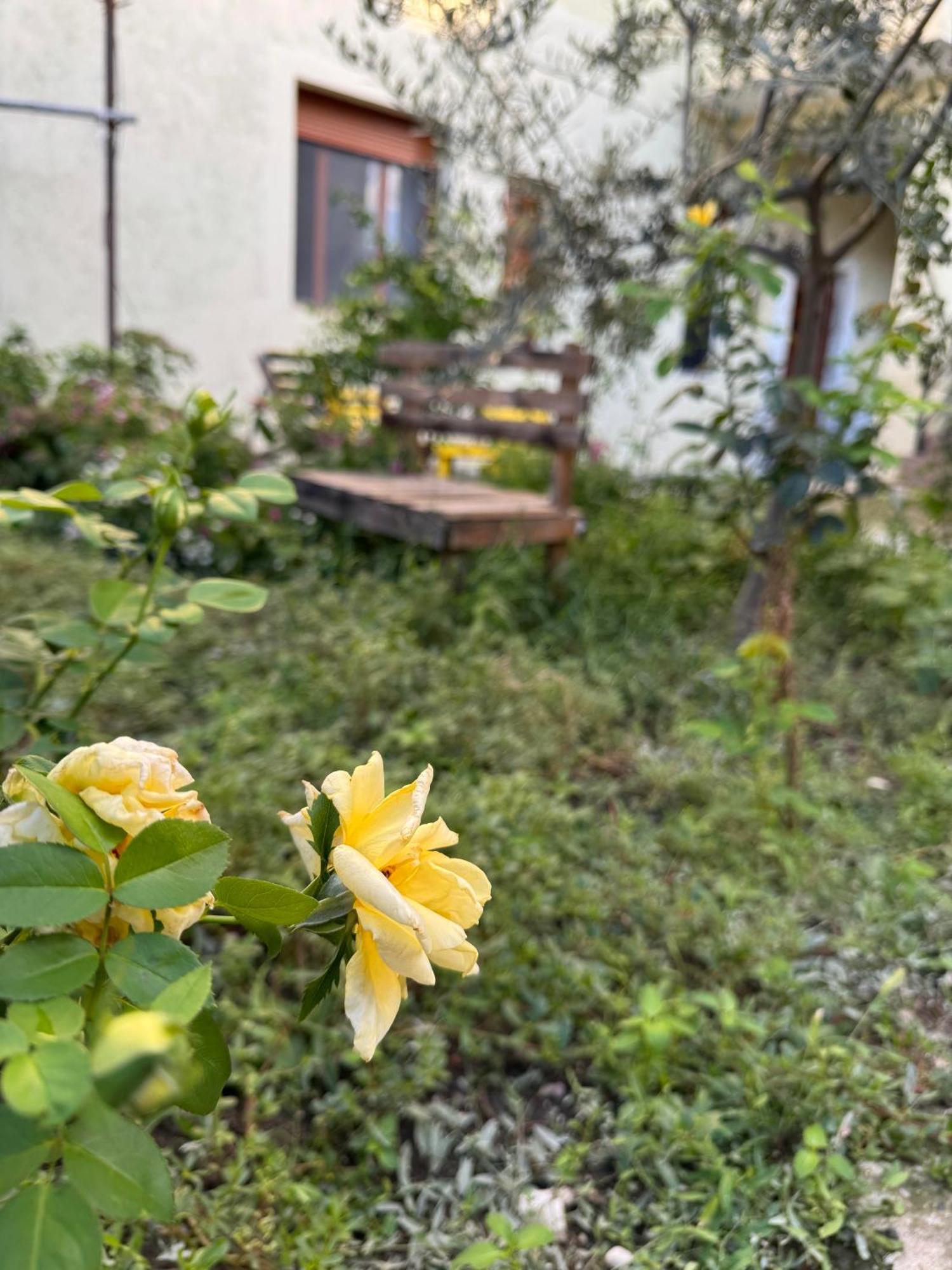 Ardjon House Hostel Μπεράτ Εξωτερικό φωτογραφία